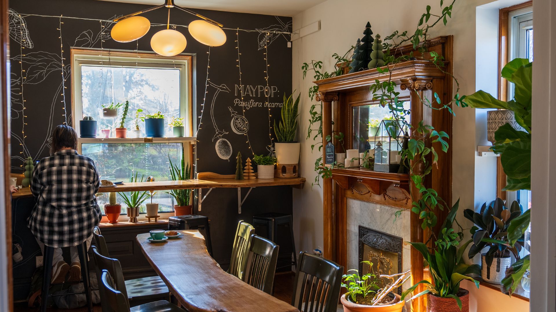 Maypop Coffee and Garden Shop features coffee and plants.