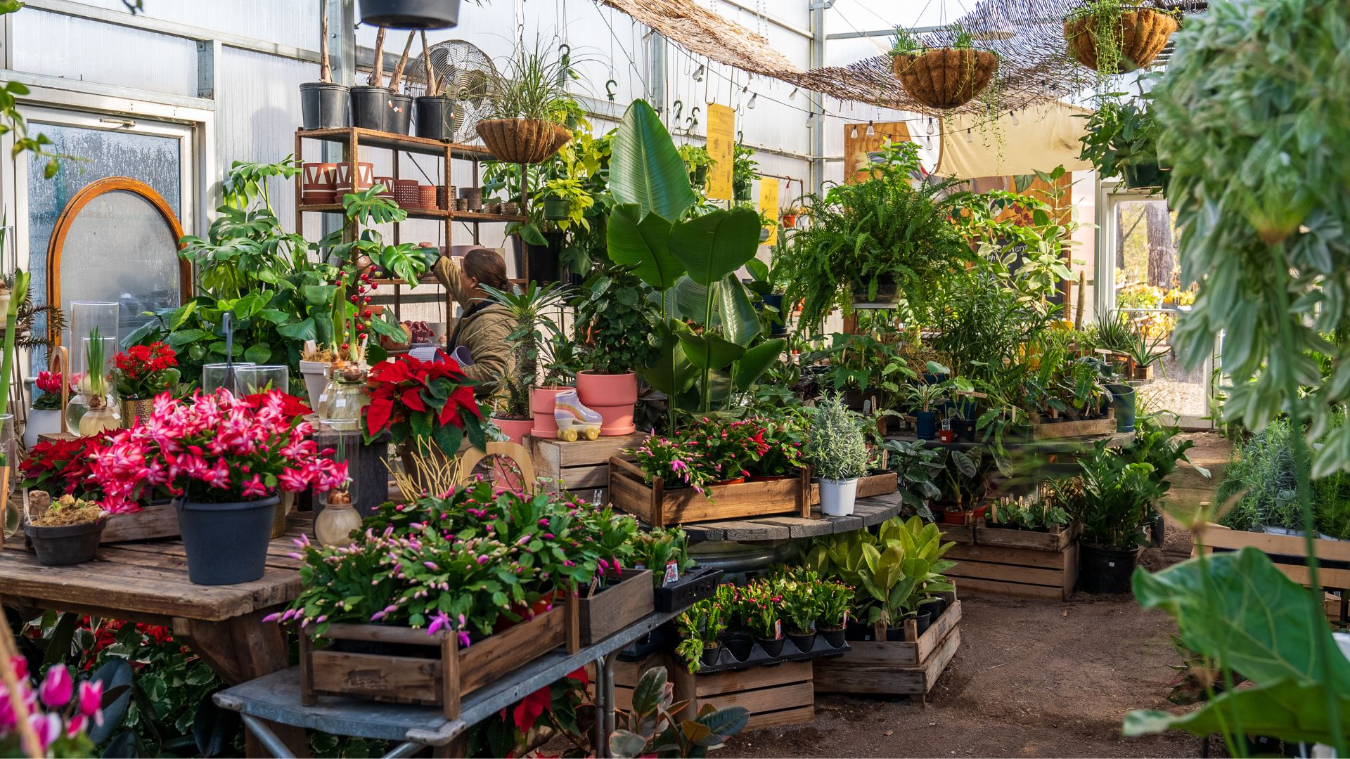 Maypop Coffee and Garden Shop features coffee and plants.