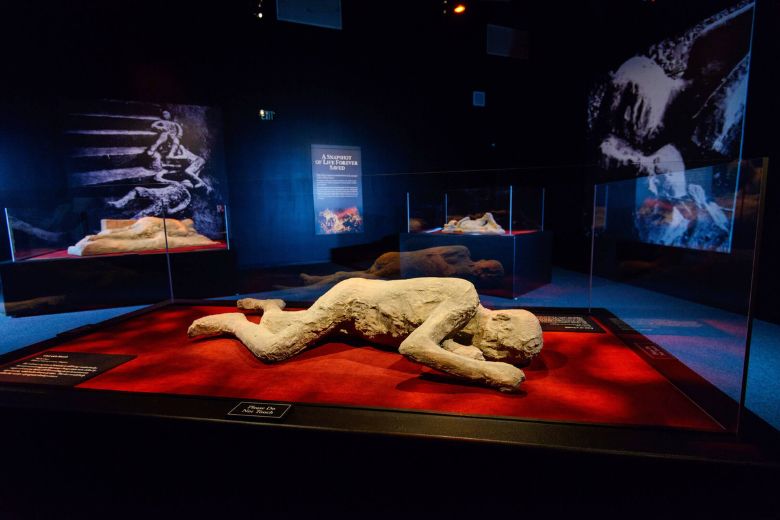 An exhibition about Pompeii brings 150 authentic artifacts to the Saint Louis Science Center.